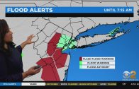 New York Weather: Nor’easter Brings Heavy Rain, Potential Flooding